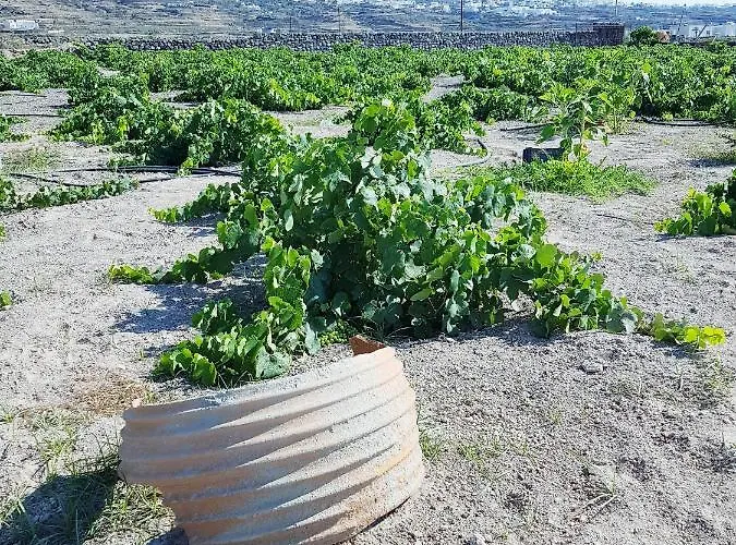 Semesterbostad Abelonas *