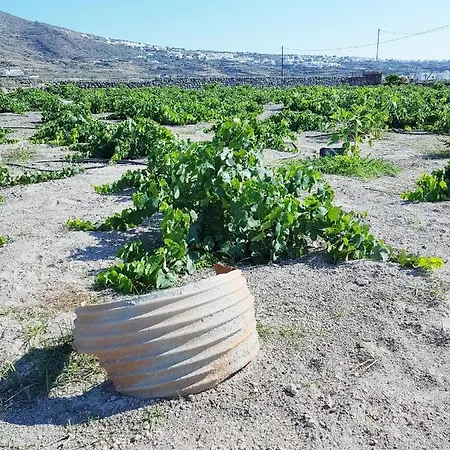 Ferienhaus Abelonas *